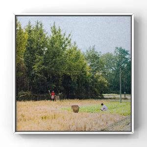 老头和妓女做爱视频
